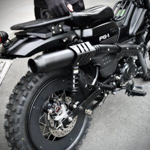PÔ DARK DRAGON YAMAHA PG-1