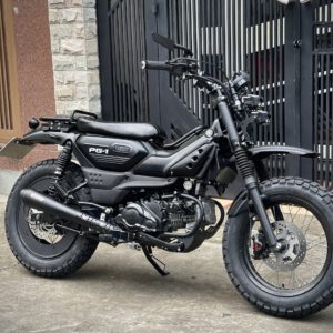 PÔ DUSTLAND YAMAHA PG-1
