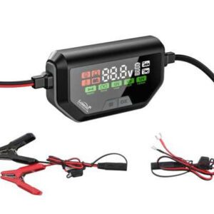 SẠC ACQUY LOBOO C60 (CHÍNH HÃNG)